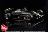 1:20 Team Lotus Type 91 Belgium GP (Lotus 91) by Ebbro