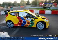 1:24 Ford Fiesta WRC #15 Rally Germany/Spain 2011 Decals (Belkits)