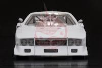 1:12 Lancia Beta Montecarlo Turbo - Ver.A : 1979 Giro d’Italia #576 G.Villeneuve / W.Röhrl / C.Geistdörfer