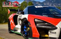 1:24 Mclaren SENNA Dress Up Decals (Tamiya)