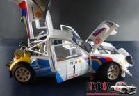 1:24 Peugeot 205 Turbo 16 Evo 2 Monte Carlo 1986 Model Kit