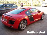 Audi R8/R10 Paint 60ml
