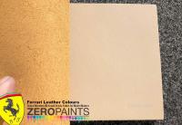 Ferrari Sabbia (Creme) Leather Colour Paint 60ml