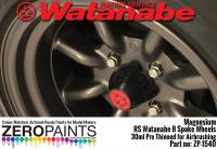 Magnesium Paint for RS Watanabe 8 Spoke Wheels 30ml