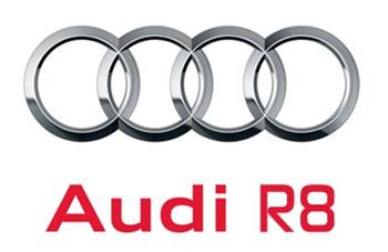 Audi R8/R10 Paint 60ml