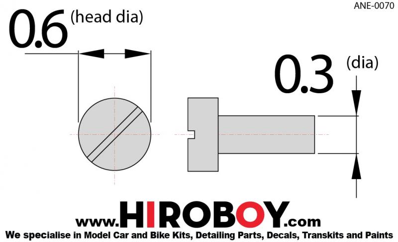 Slot Head Bolt/Rivet Stainless (S) - 0.6mm x 0.3mm (x30)